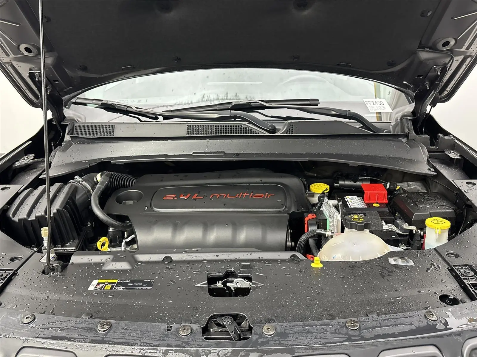image-19