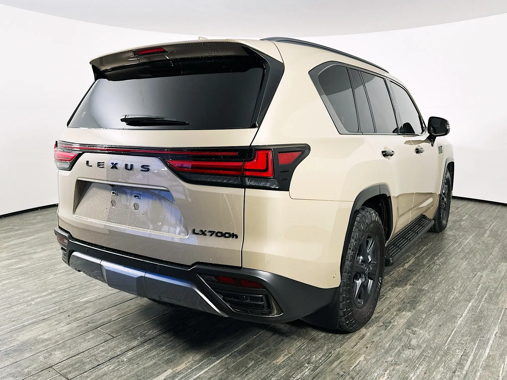 2025 Lexus LX photo 5