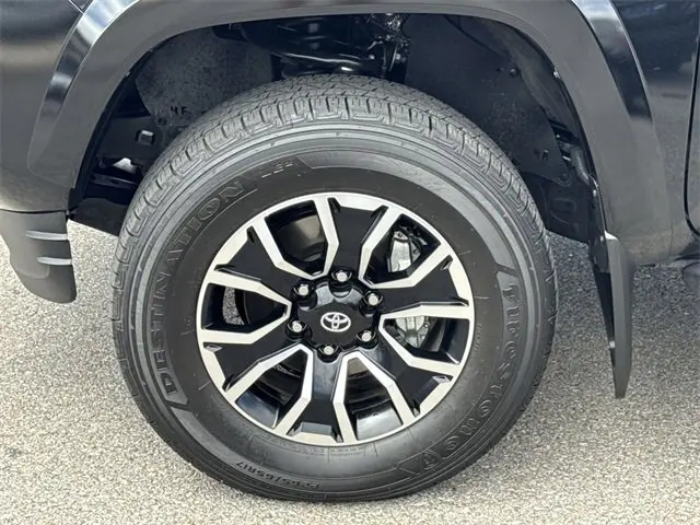 image-19