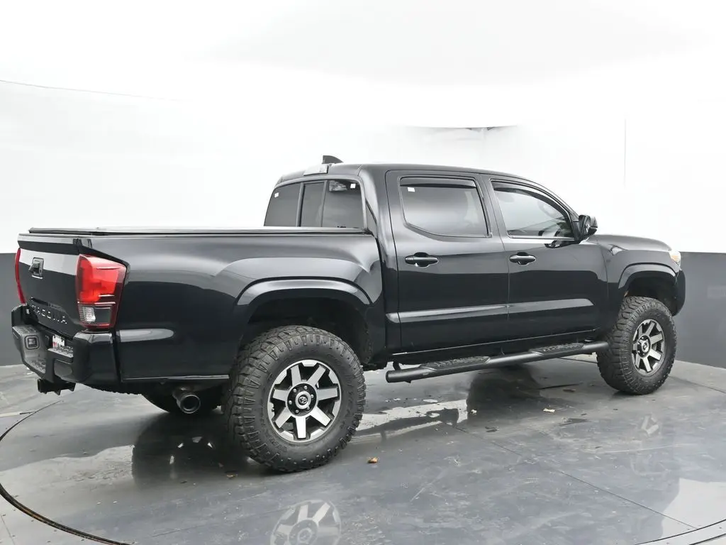 image-10