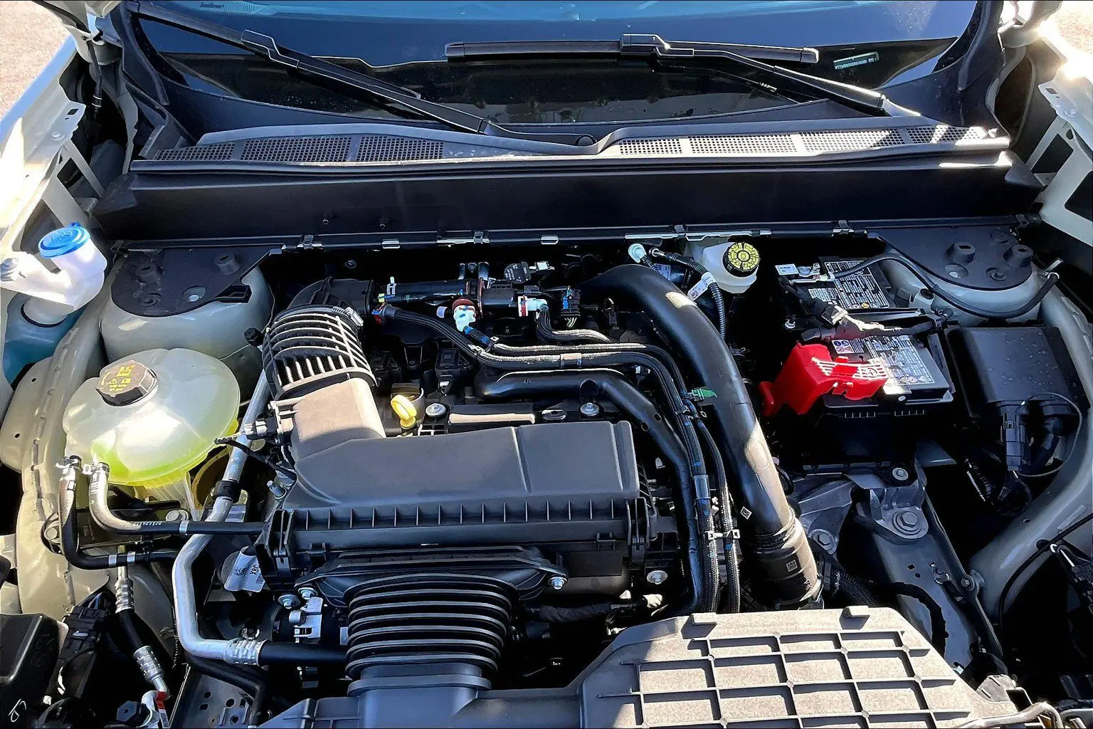 image-10