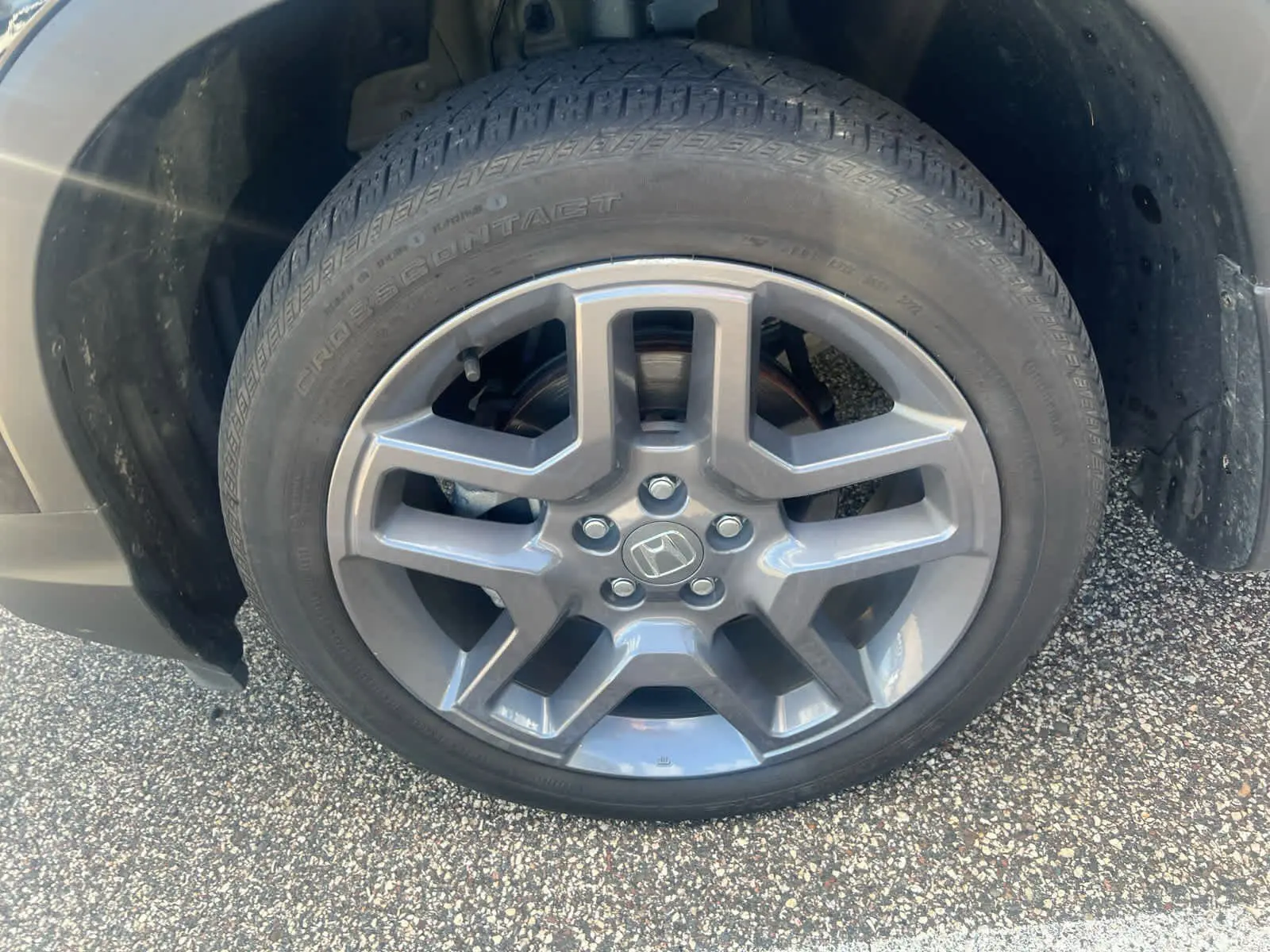 image-7
