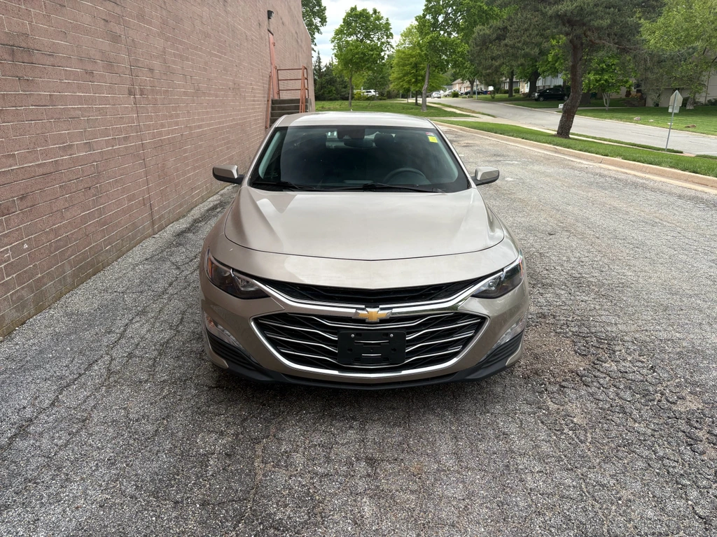 image-7
