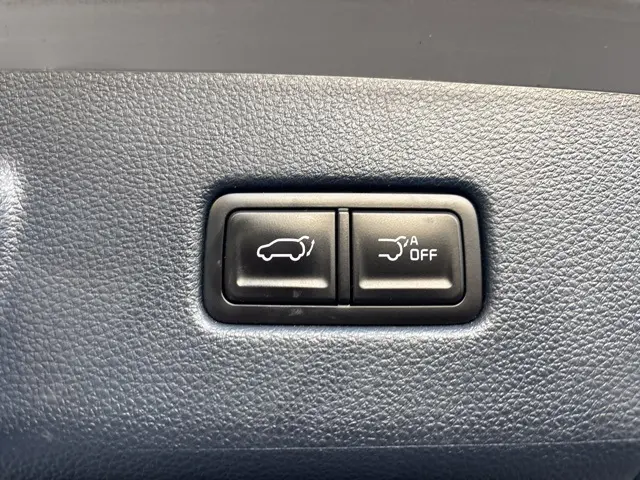 2025 Kia Carnival SX Prestige photo 8