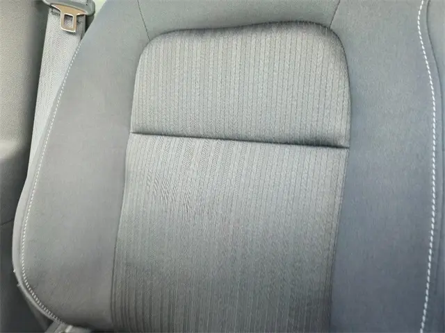 image-19