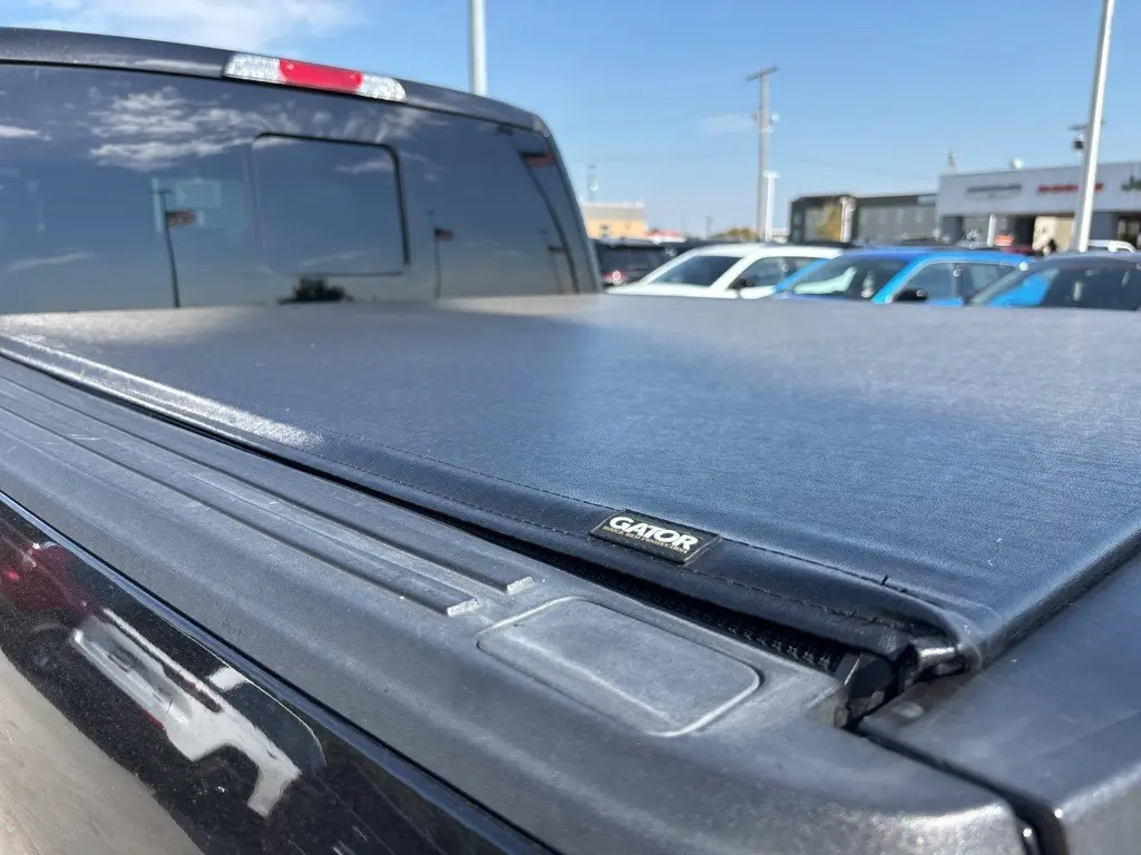 2015 Ford F-150 Platinum photo 4