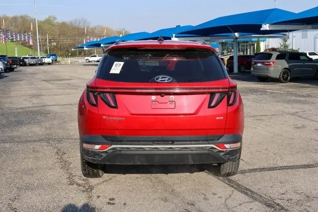 image-4