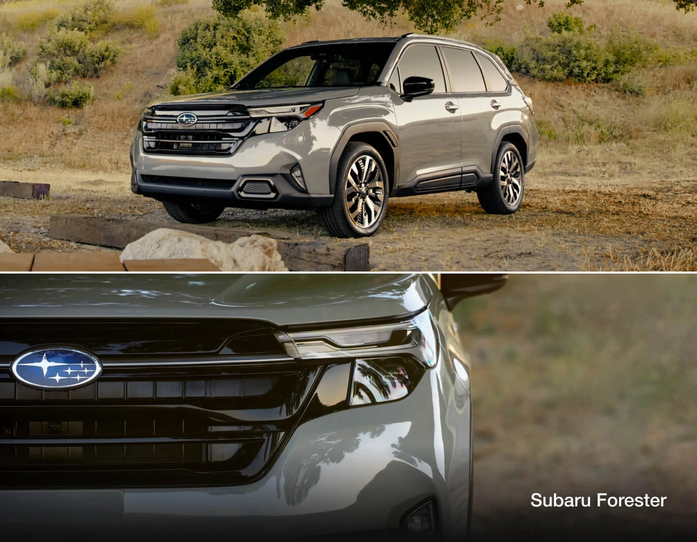 2026 Subaru Forester vs. Toyota RAV4 Specs