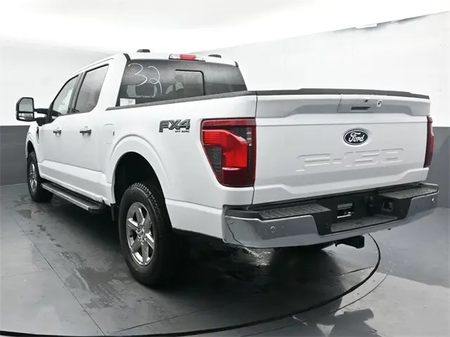 image-10