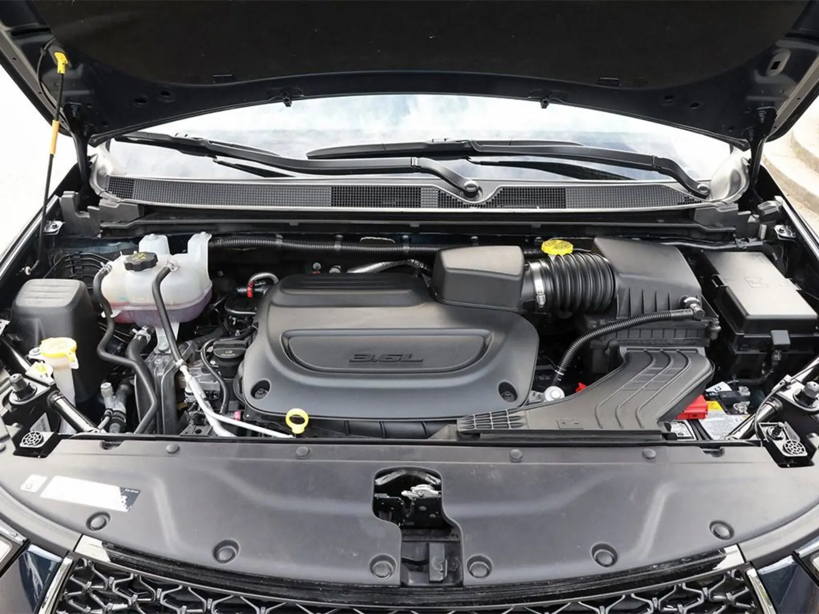 image-7