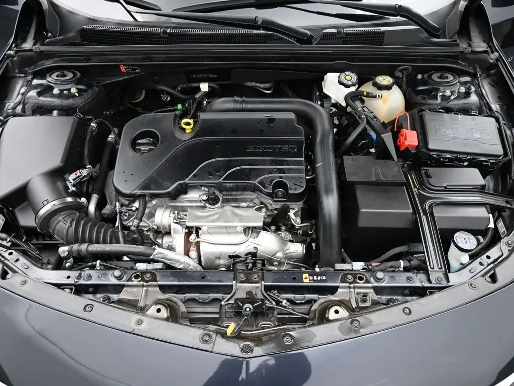 image-14