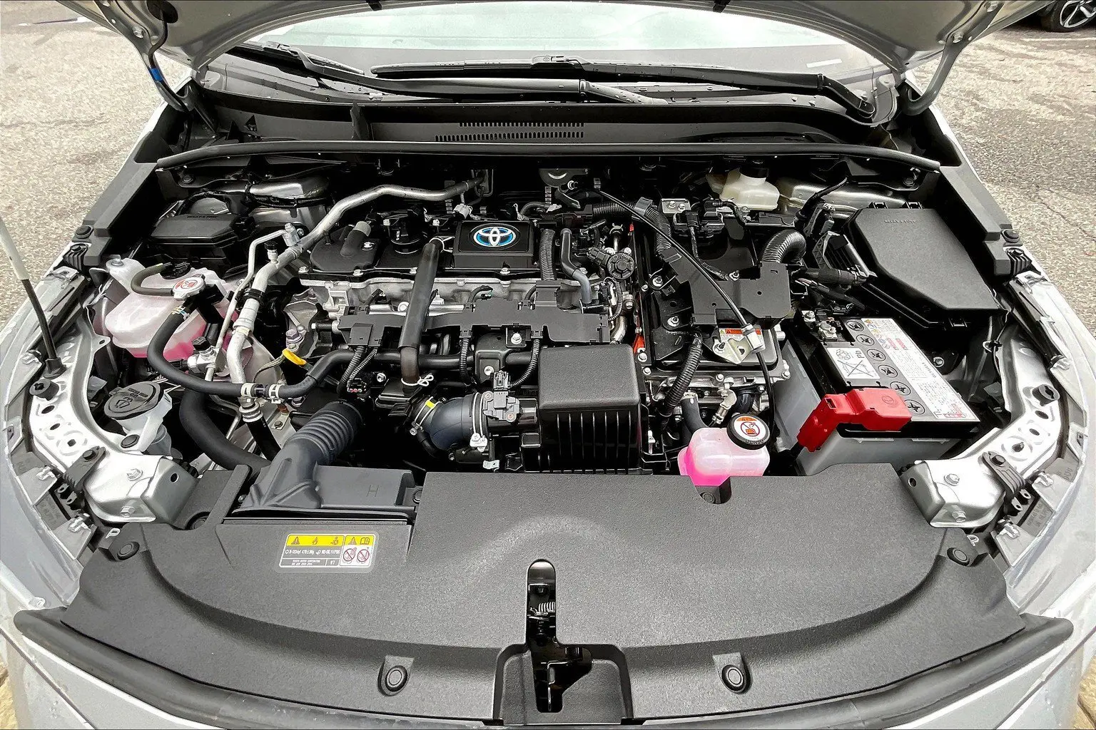 image-12