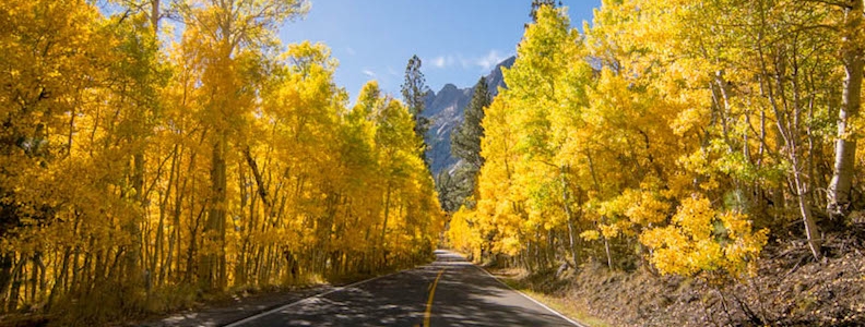 Blog Cover Image