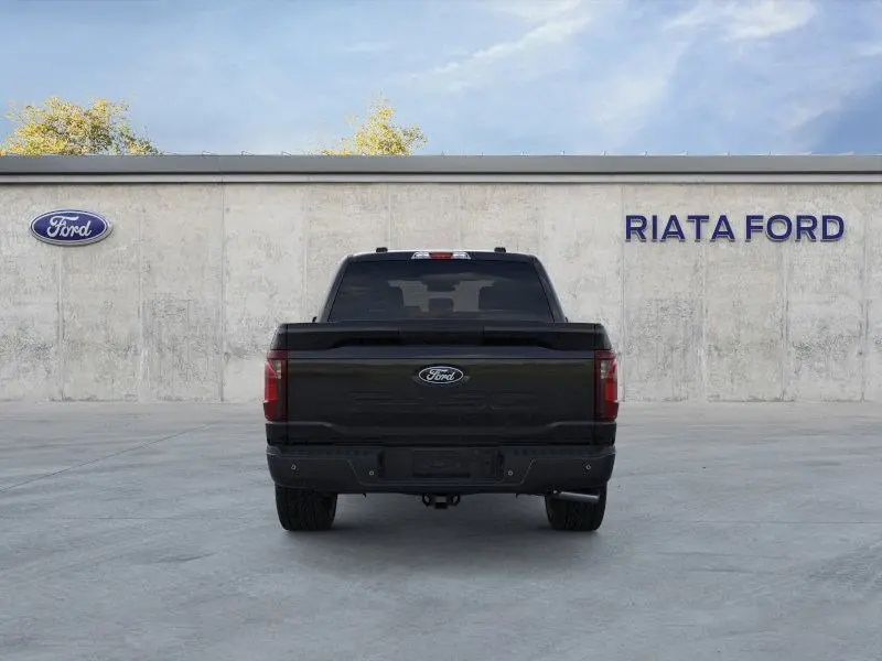 image-4