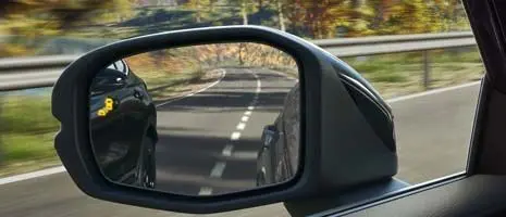 Blind Spot Information System