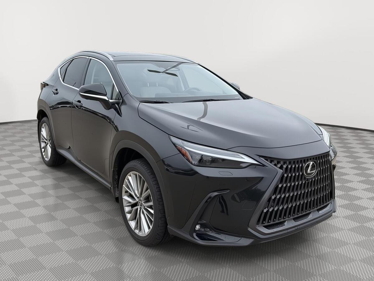 2025 Lexus NX 350 Luxury