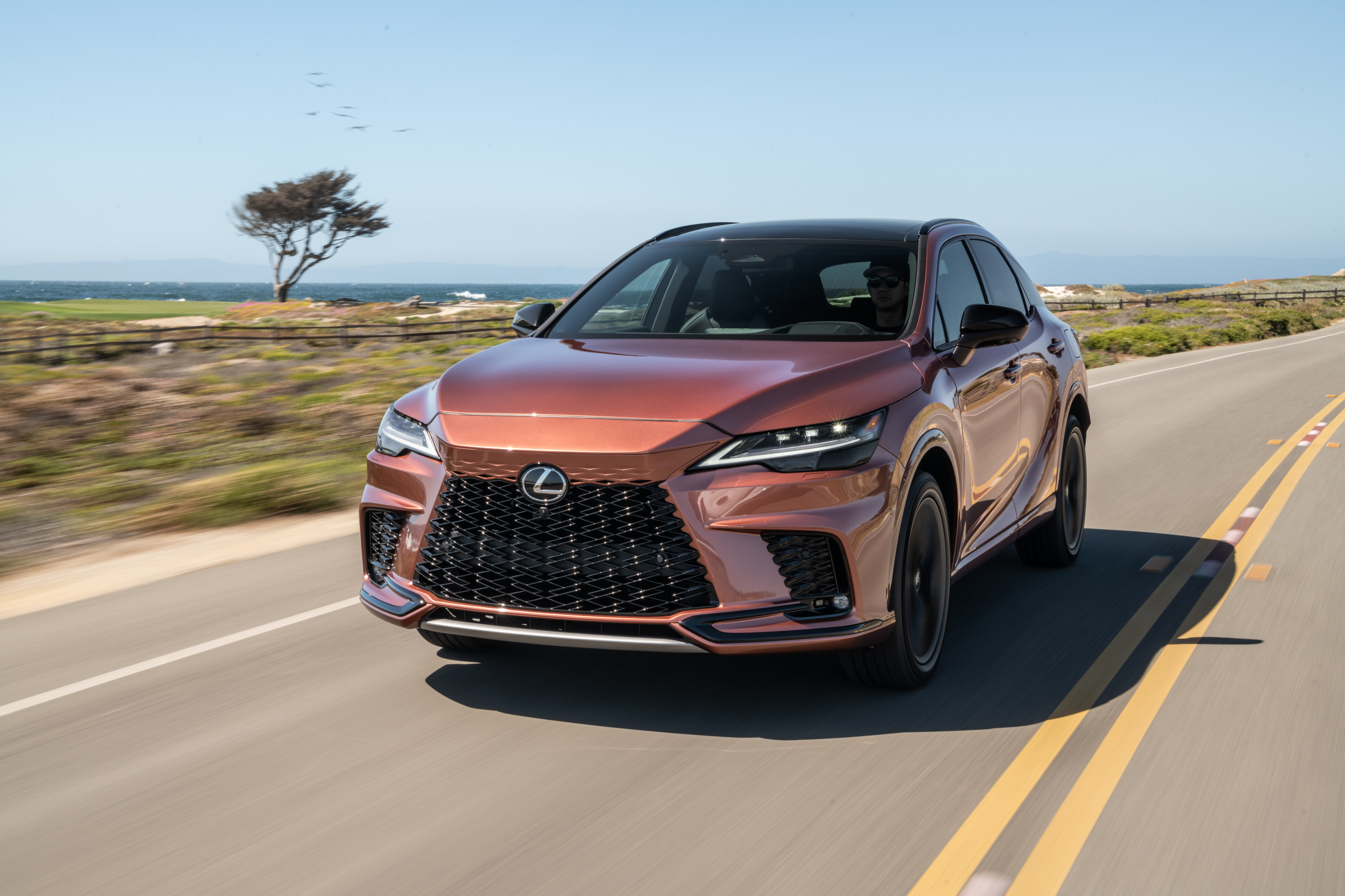 F SPORT / F SPORT PERFORMANCE