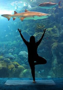 yoga pose in front of aquarium