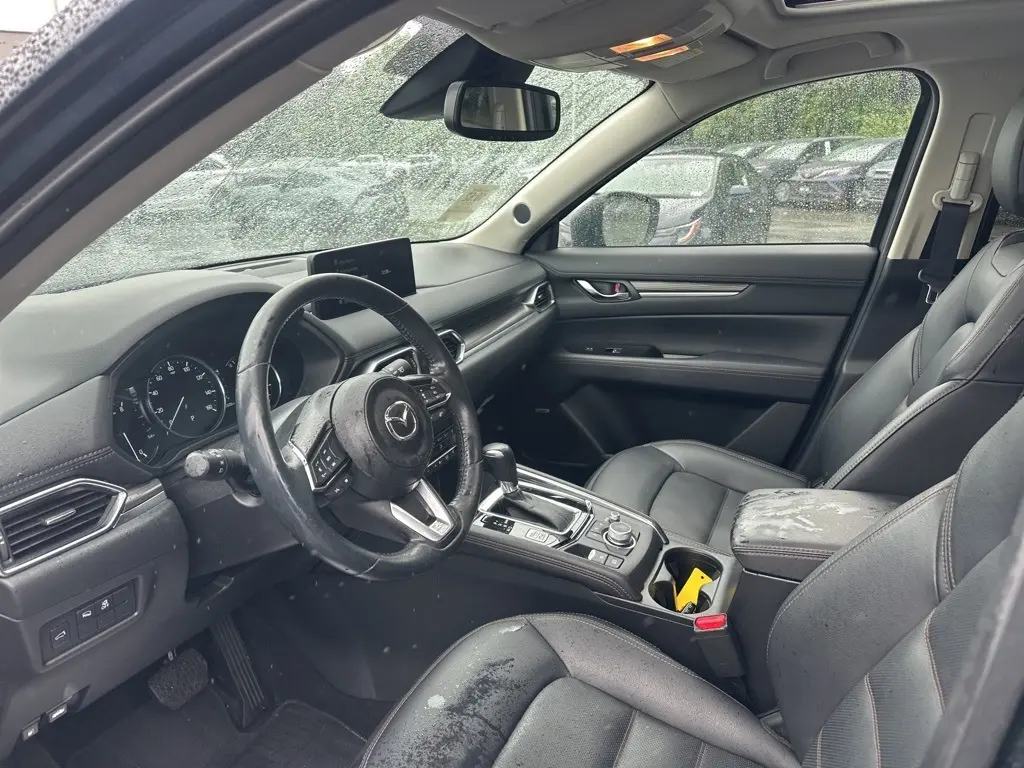 image-9