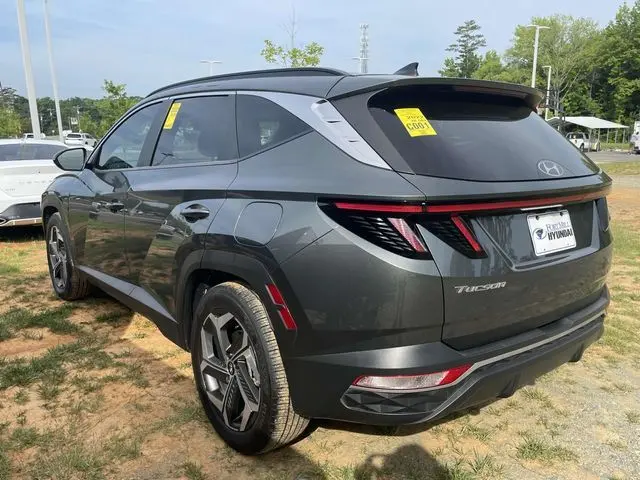 image-4