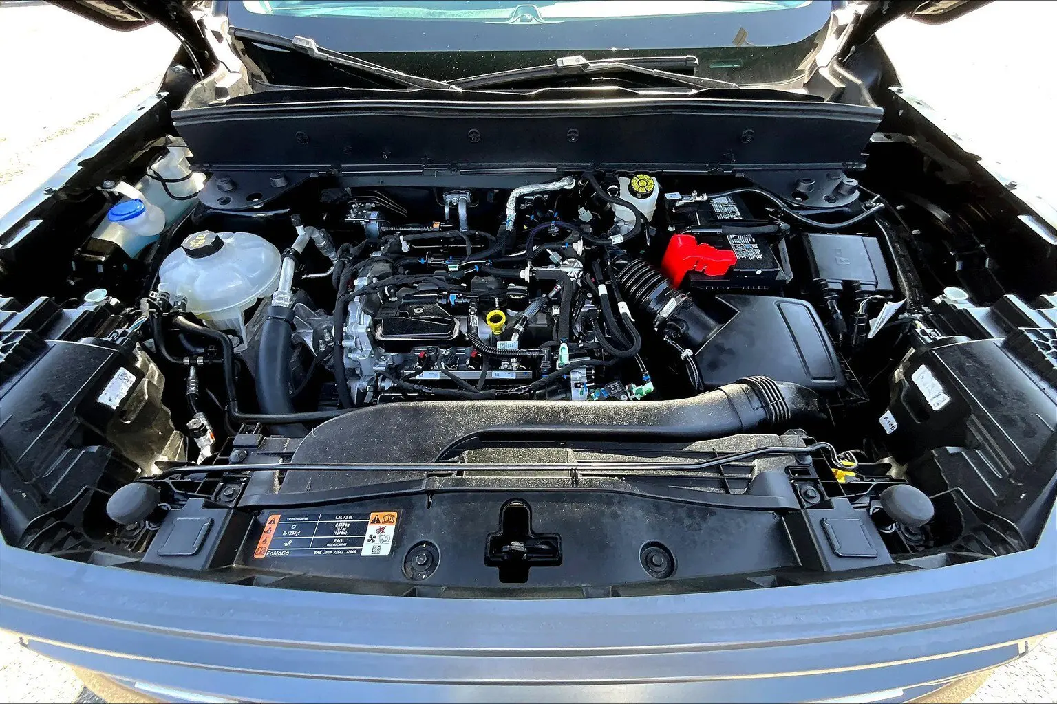 image-8
