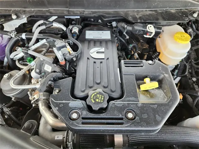 image-19