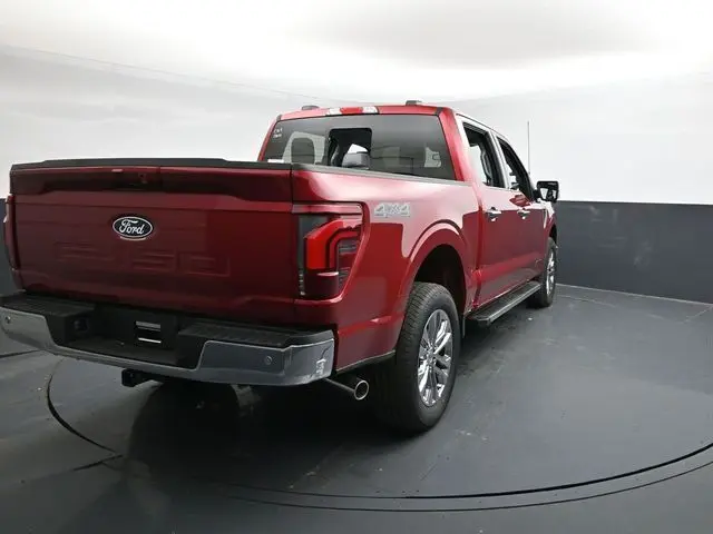 image-7