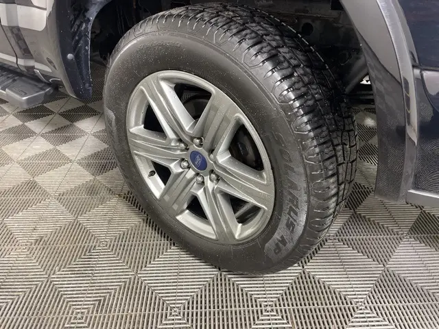 image-7