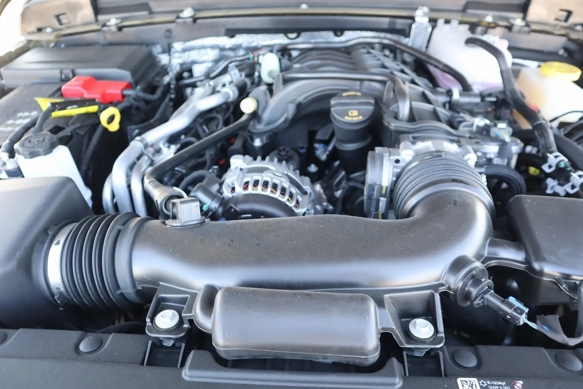 image-19