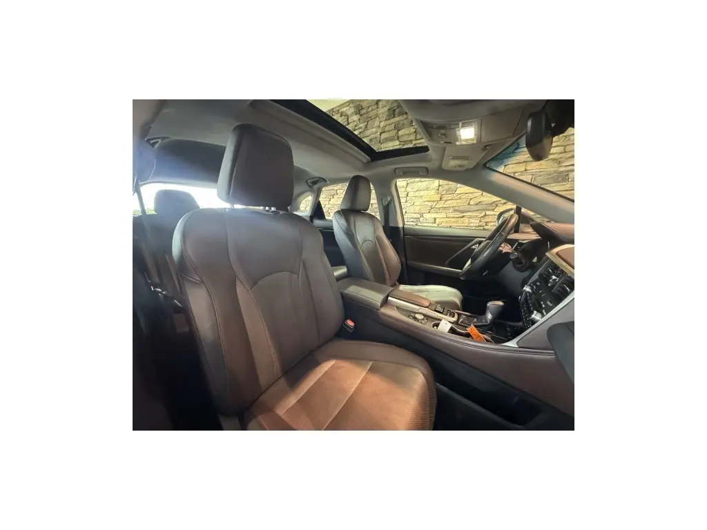 image-19