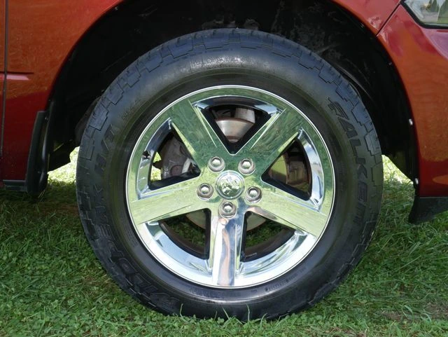 Photo 11