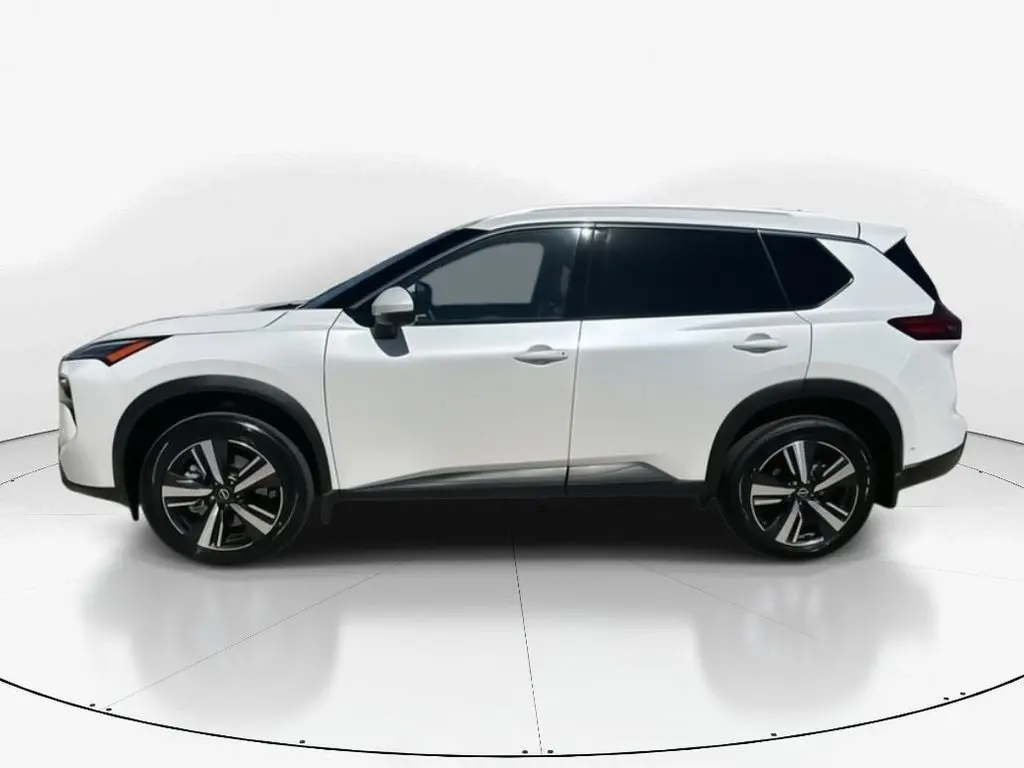 image-7