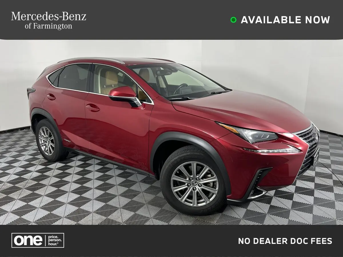2018 Lexus NX 300h's photo