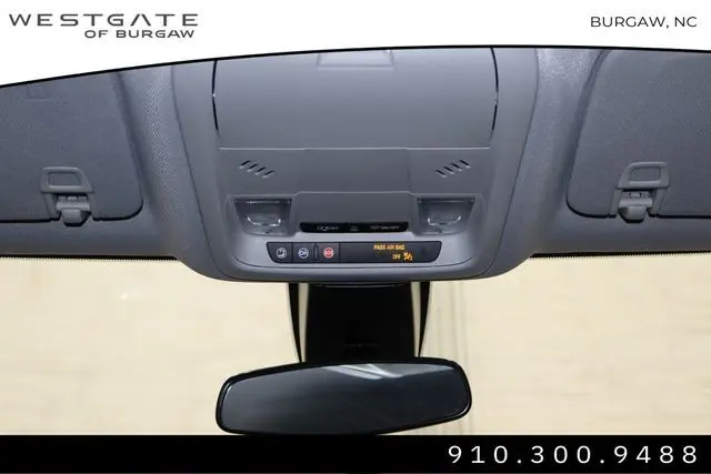 image-19