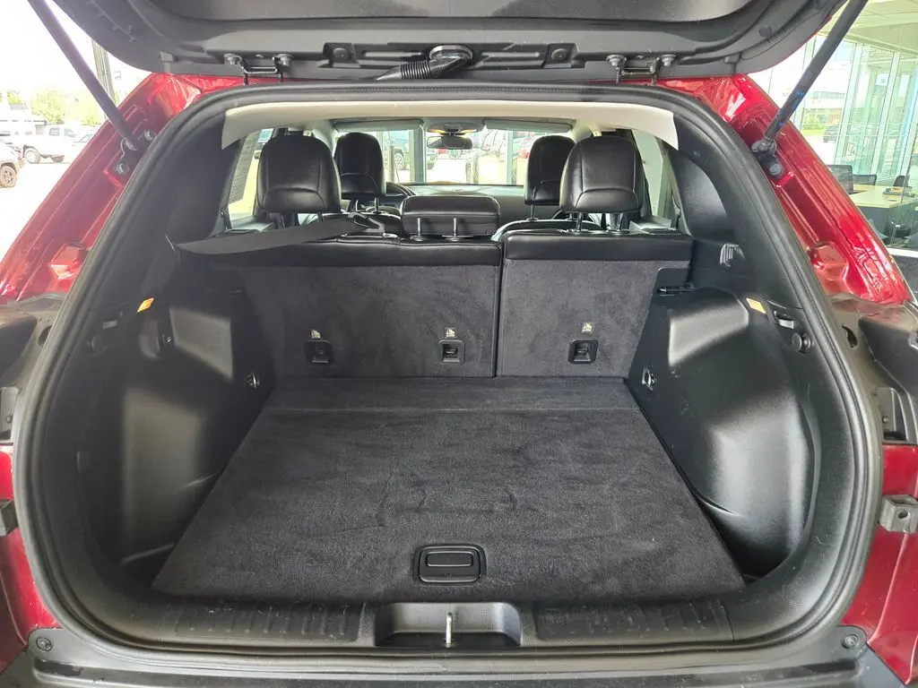 image-4