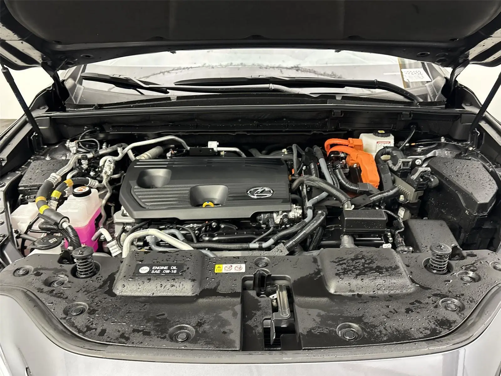 image-19