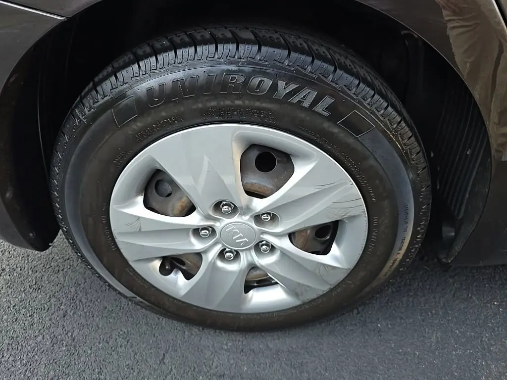 image-7