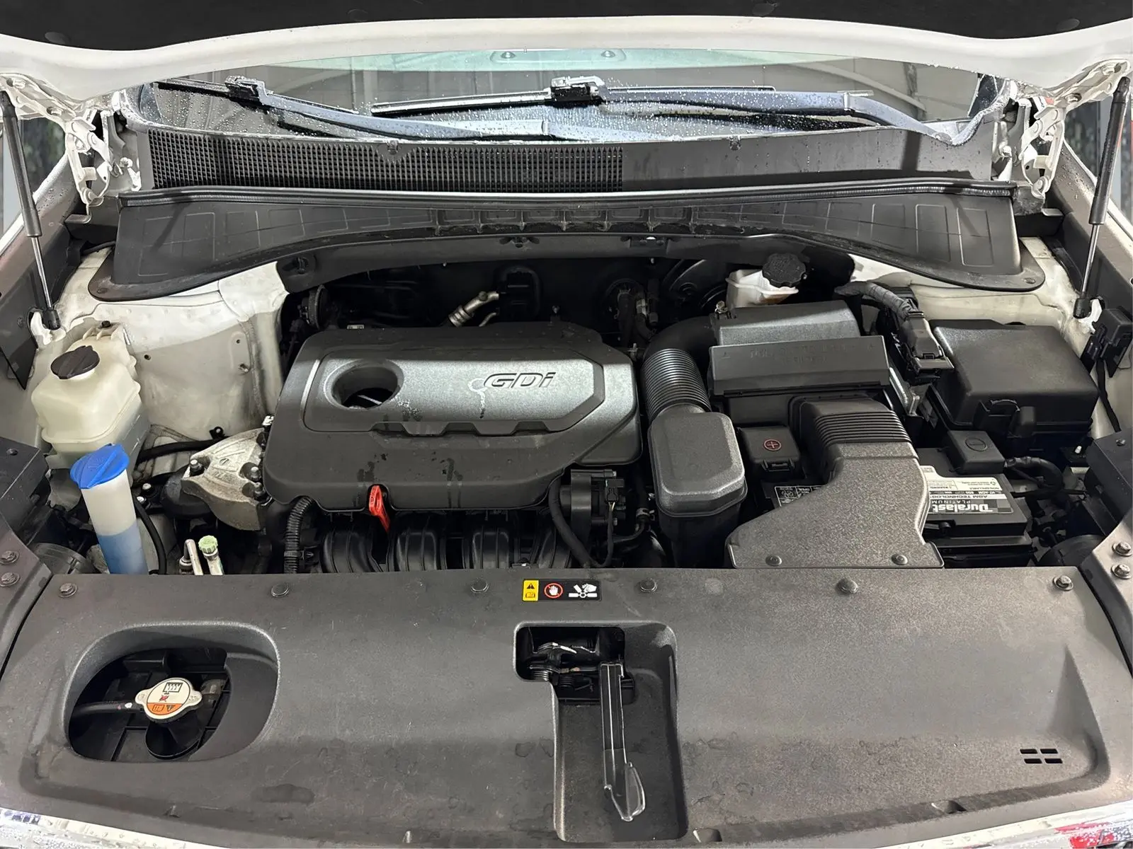 image-19