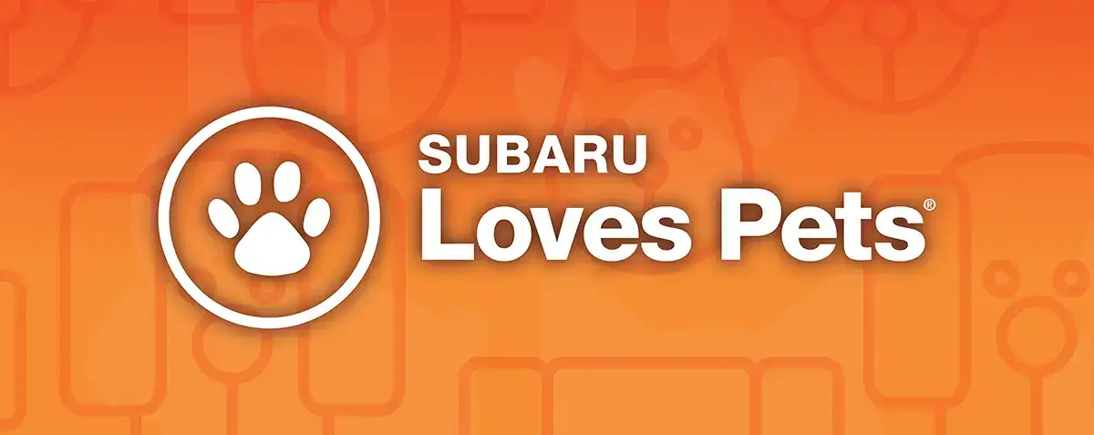 Blog Cover Image