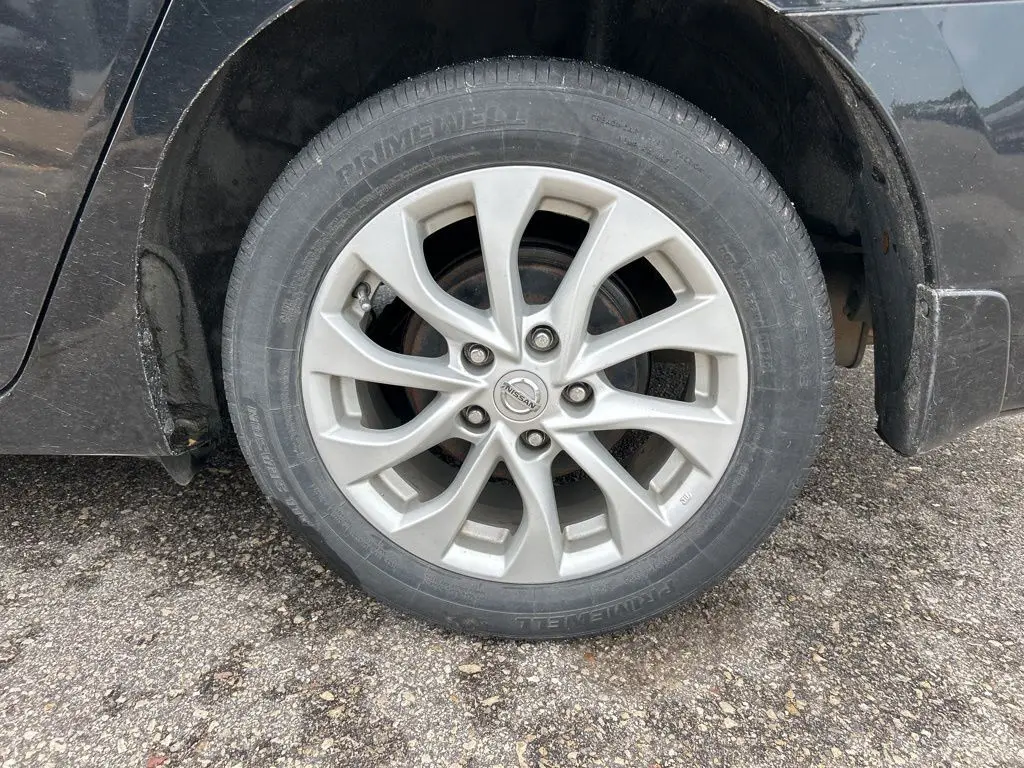image-11