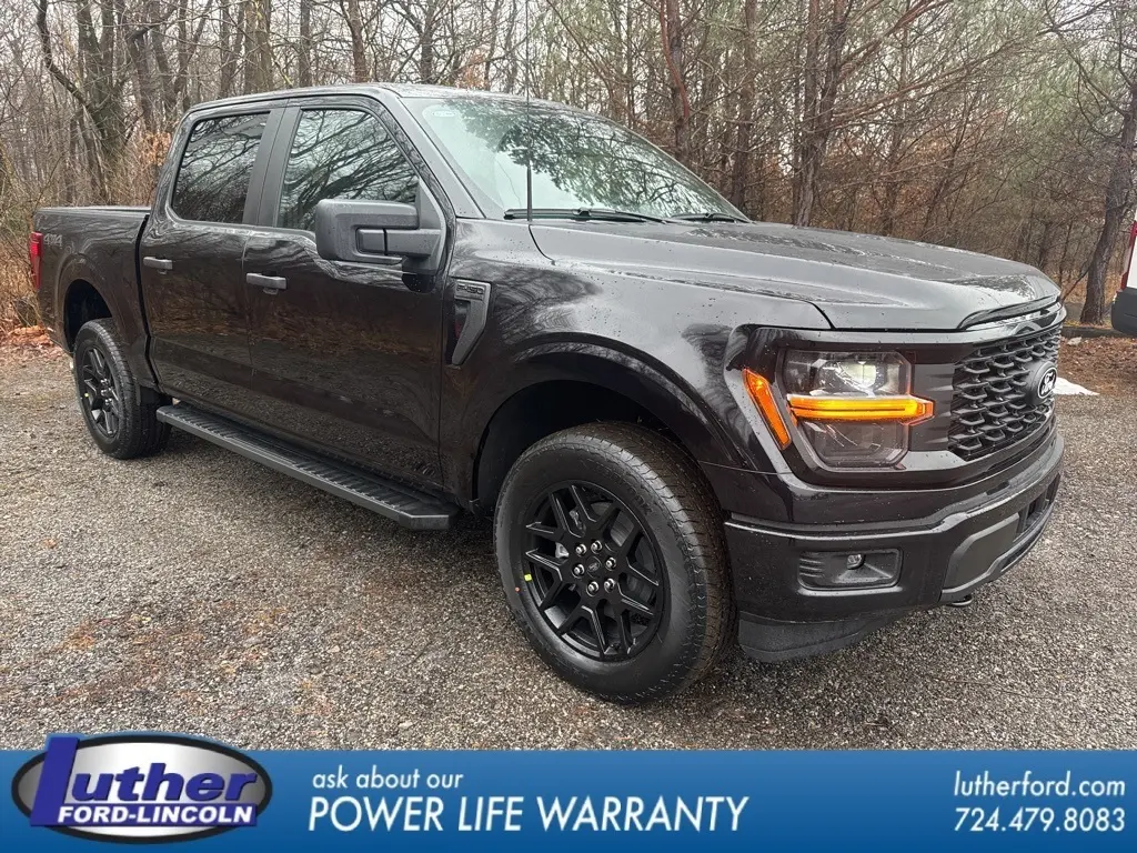 2025 Ford F-150 STX's photo