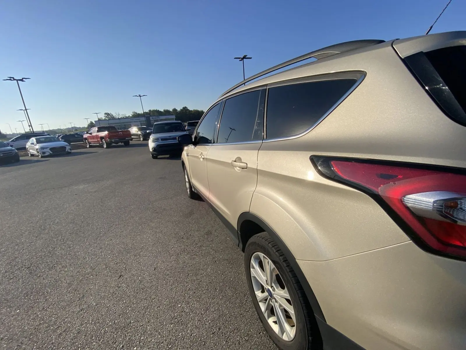 image-4