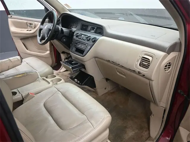 image-19