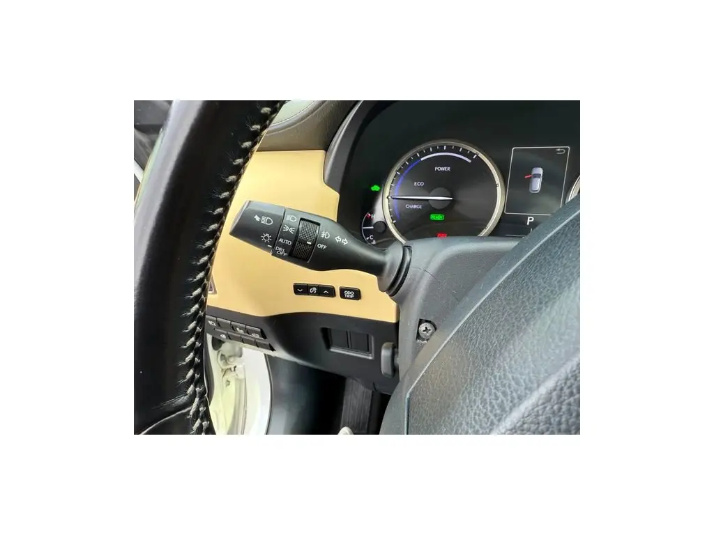 image-19