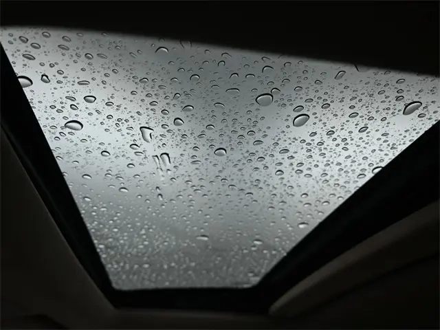 image-17