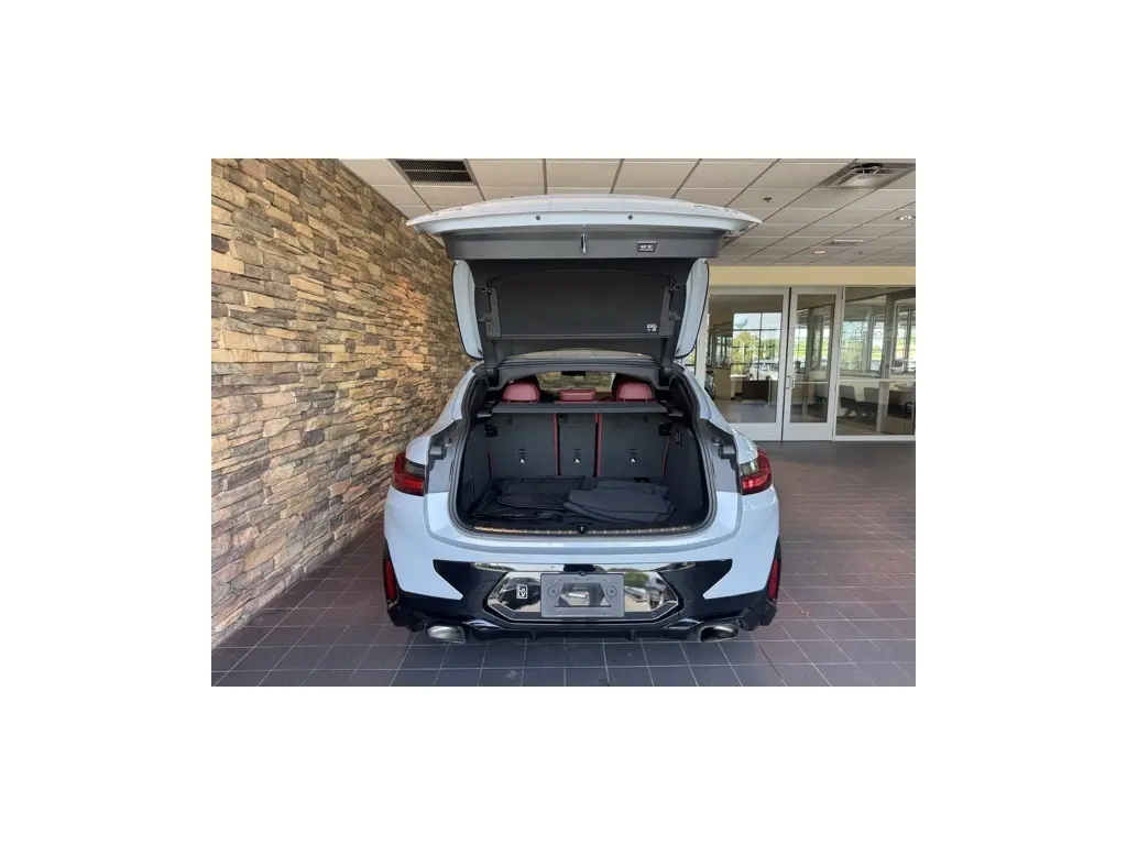image-11