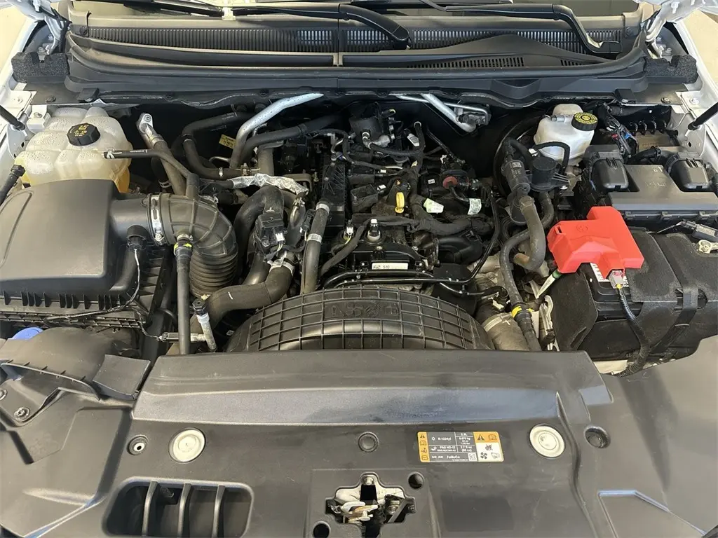 image-19