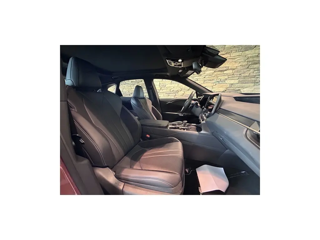 image-19
