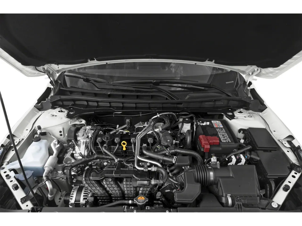 image-8
