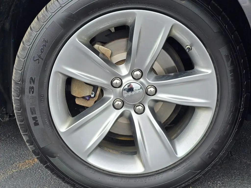 image-15